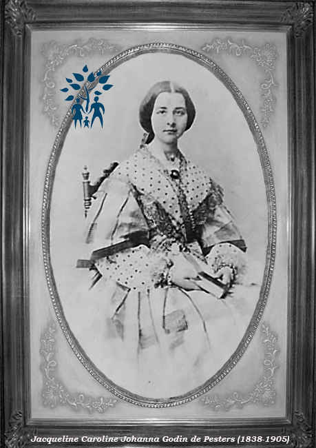 Click for photo in separate window jacqueline_caroline_johanna_godin_de_pesters__1838-1905_.jpg