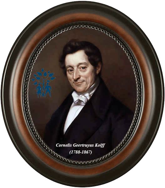 Click for photo in separate window cornelis-geertruyus-kolff-_1788-1867_.png