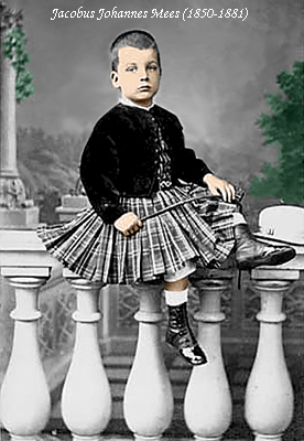 Click for photo in separate window jacobus_johannes_mees__1850-1881_.jpg
