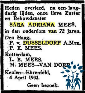 Click for photo in separate window sara_adriana_mees__1860-1933_.jpg