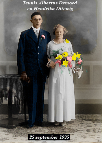 Click for photo in separate window teunis_albertus_demoed_en_hendrika_ditewig.jpg