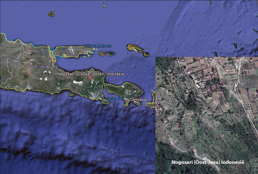 Click for photo in separate window nogosari.jpg