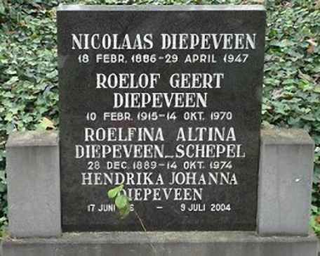 Klik voor foto in apart venster diepeveen-schepel-winterswijk.jpg