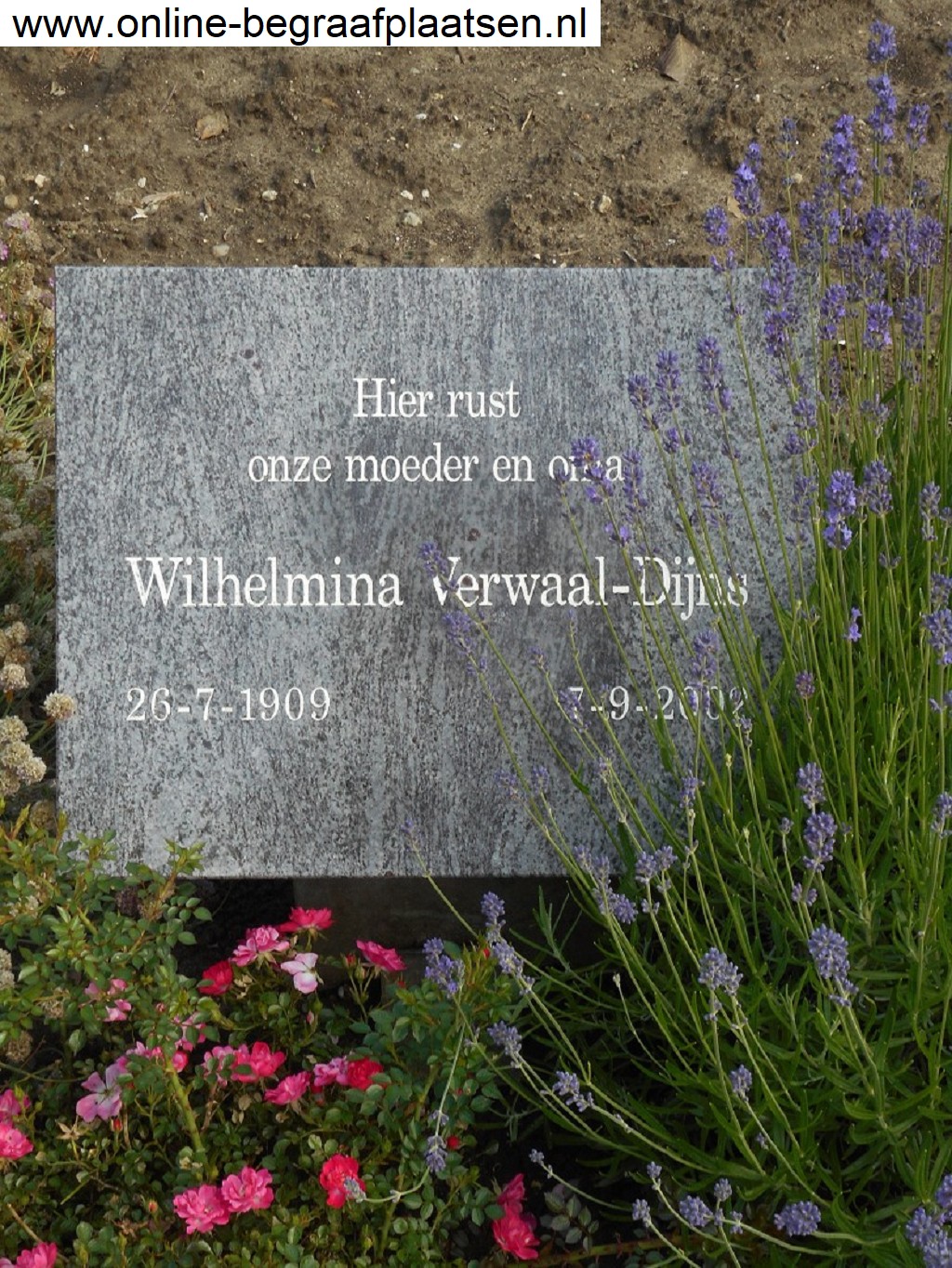 wilhelmina_dijns__1909-2002_.jpeg