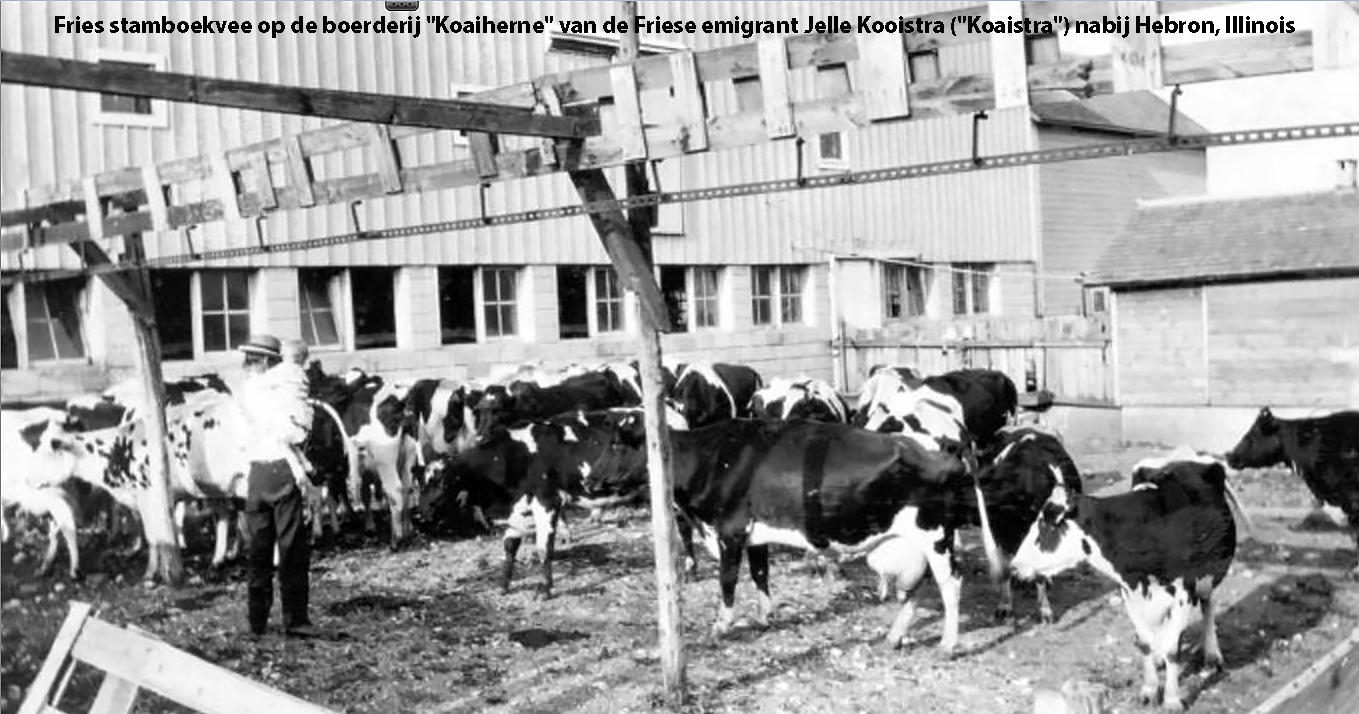 Klik voor foto in apart venster jelle_kooistra_nabij_hebron_illinois.jpg