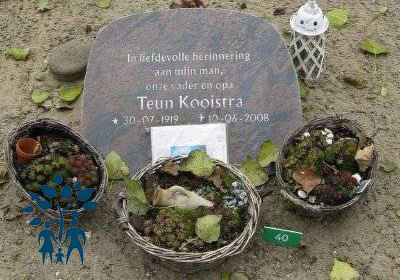 Klik voor foto in apart venster teun_kooistra__1919-2008_.jpg