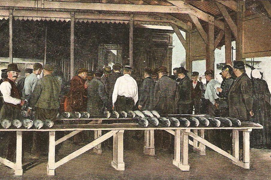 Klik voor foto in apart venster zalmafslag_kralingsche_veer_1905.jpg