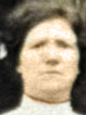 Klik voor foto in apart venster jtj_bos.jpg