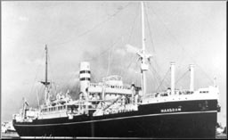 Klik voor foto in apart venster ms_maasdam.jpg