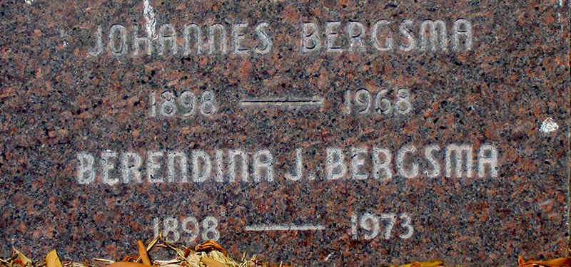 Klik voor foto in apart venster berendina_johanna_zorn___johannes_bergsma.jpg