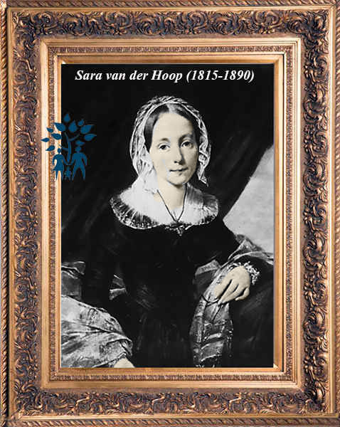 Klik voor foto in apart venster sara_van_der_hoop__1815-1890_.jpg