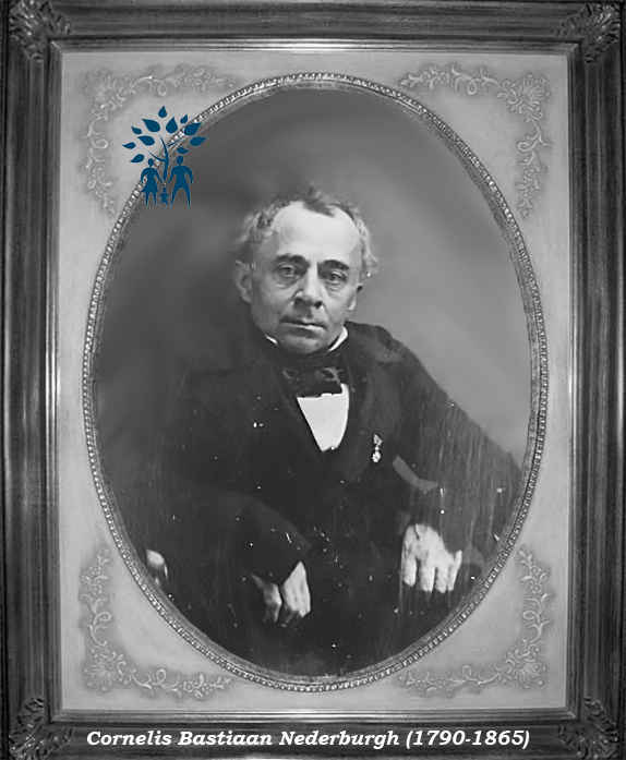 Klik voor foto in apart venster cornelis_bastiaan_nederburgh__1790-1865_.jpg
