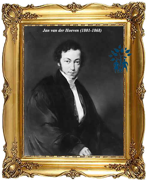 Klik voor foto in apart venster jan_van_der_hoeven__1801-1868_.jpg